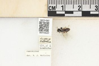 Media type: image;   Entomology 773527 Aspect: Labels